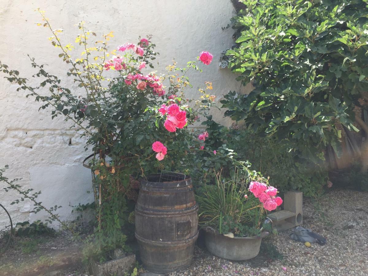 Aux Caprices Des Dieux Marnes ภายนอก รูปภาพ